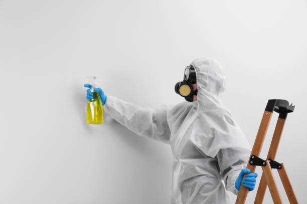 Best Forensic Mold Investigation  in USA